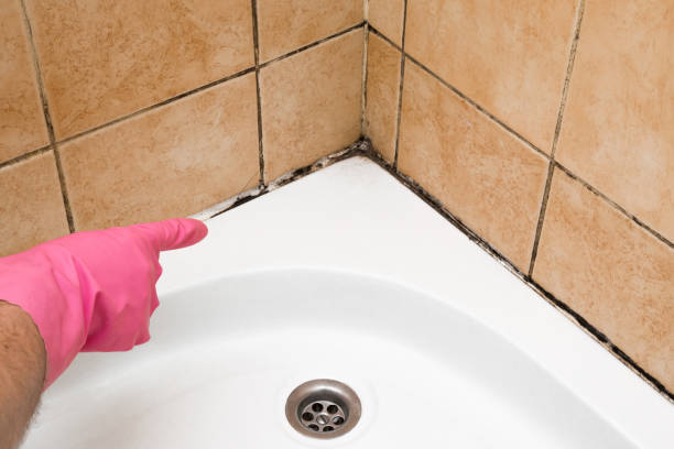 Certified Mold Removal in Merrick, NY